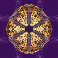 Pizza Gym GIF by Planet Fitness