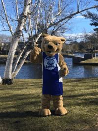 thumbs up dance GIF by Wheaton College (MA)