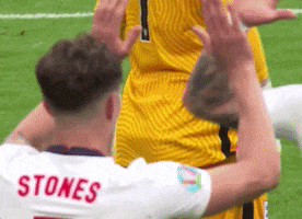 Euro 2020 Football GIF by UEFA