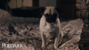 sad aidan turner GIF
