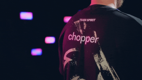 Team Spirit GIF by BLAST