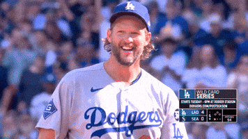 Los Angeles Dodgers Sport GIF by MLB