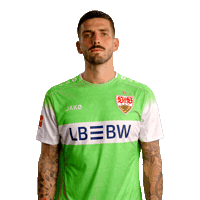 Fabian Bredlow Jako Sticker by VfB Stuttgart 1893