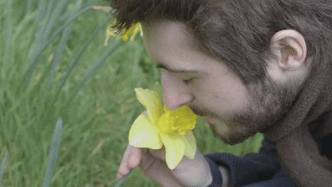flowers earth GIF by funk