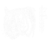 STILLMANmusic music coffee tiger christian Sticker