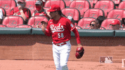 Luis Castillo Baseball GIF by Cincinnati Reds