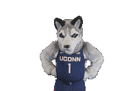 basketball no Sticker by UConn Huskies