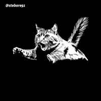 Cat Jump GIF