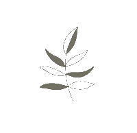 Leaf Boho Sticker