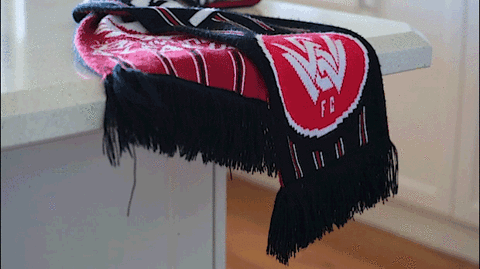 wswanderersfc giphyupload reaction football wanderers GIF