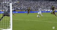 copa america centenario argentina GIF by Univision Deportes