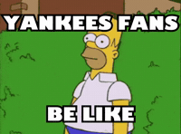 New York Yankees Baseball GIF by Respective