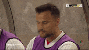 sl benfica slbgifs GIF by Sport Lisboa e Benfica