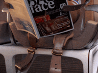 Aircraft Airbus GIF by STARLUX Airlines