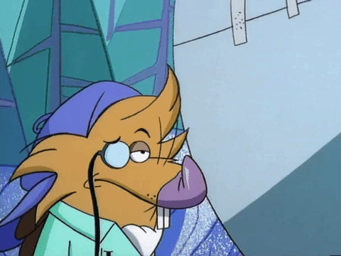 nickrewind giphydvr nicksplat angry beavers giphyab017 GIF