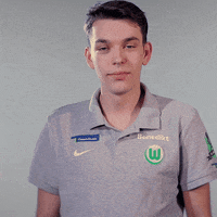 fifa 18 football GIF by VfL Wolfsburg