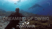 Awesome Manta Ray GIF by Mantahari Ocean Care