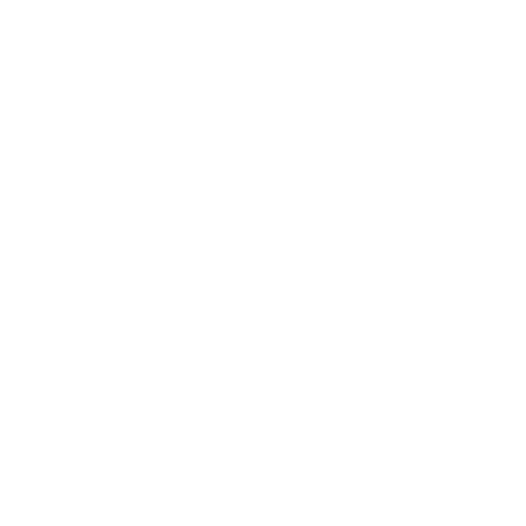 Rond Ootmarsum Sticker by Artica