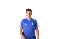 Football Win Sticker by FORTUNA:LIGA