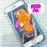 Domitille Collardey GIF by Studios 2016