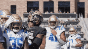 uclafootball football celebration 2022 woo GIF