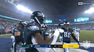 2018 nfl football GIF by NFL