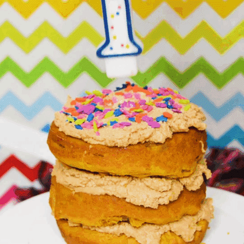 puppy cake smash GIF