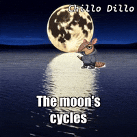 GIF by Chillo Dillo