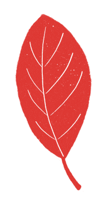 Autumn Leaf Sticker by Daniela Nachtigall