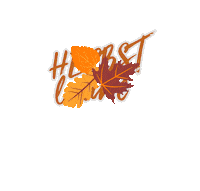 Autumn Leaves Sticker by heine