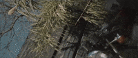 Life On Earth GIF by Hurray For The Riff Raff