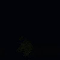 Slow Motion Wow GIF by JustViral.Net