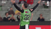 Melbourne Stars Celebration GIF by StarsBBL