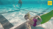 Little Mermaid Swimming GIF by 60 Second Docs