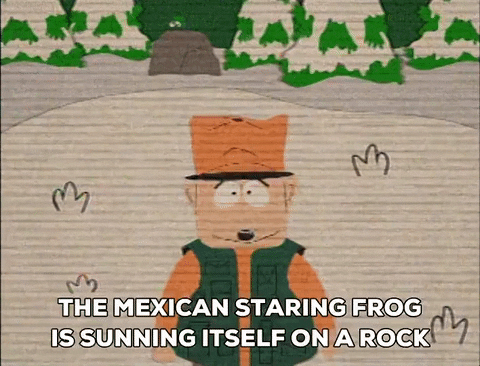 GIF by South Park 