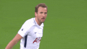 london football GIF by Tottenham Hotspur