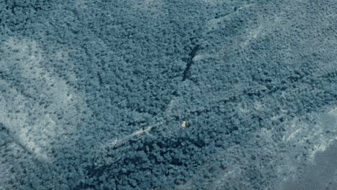 GazetaDigital giphygifmaker GIF