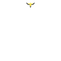 Happy New Year GIF by Lincoln Goldfinch Law