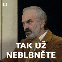 Ceskatelevize Ceska GIF