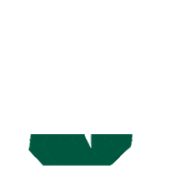 49Niners charlotte niners 9ers boldrush Sticker