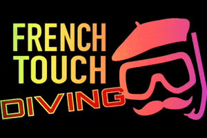 frenchtouchdiving diving scuba diver plongee GIF
