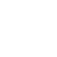 Wizz Sticker by Falc