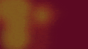 Happy Birthday GIF by Justin