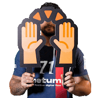 Sport Fun Sticker by Paris Saint-Germain Handball