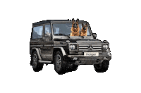 Sticker Dogs Sticker