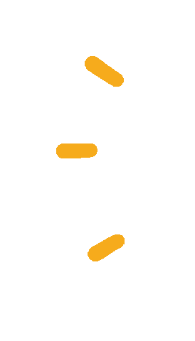 Lines Pinaco Sticker