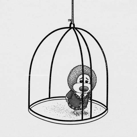Bird Cage GIF by colegioroth