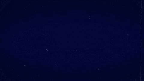 Congratulations Congrats GIF