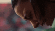 Silaturkoglu GIF by Show TV