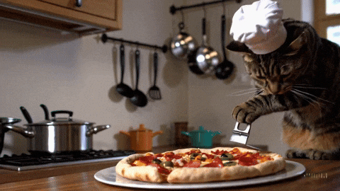 EnterTheHero giphyupload cat pizza ai GIF